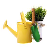Home & Garden